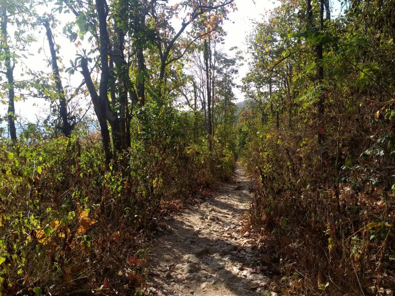 Serene Monk Trail For A Memorable Walk To Doi Suthep Chiang Mai - We ...